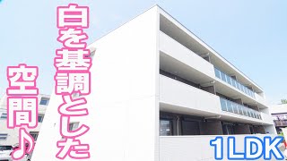 大人の一人暮らしオシャレなリビング部屋１LDK賃貸マンション