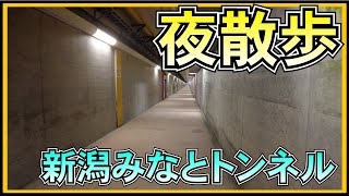 新潟 夜散歩 川底トンネルが想像以上に凄かった【 みなとトンネル 】