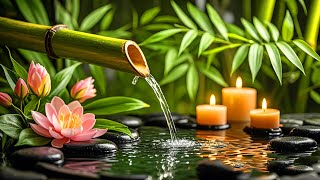 Relaxing Music Relieves Stress 🍃 Bamboo Water Fountain, Nature Sounds, Meditation Music, Water Sound