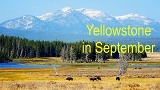 Yellowstone in September 九月的黄石