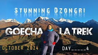 Tshoka to Dzongri । Day4- Goechala Trek । Beauty of the Himalayas ।  @travelacross.1