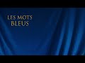 johan papaconstantino les mots bleus reprise de christophe