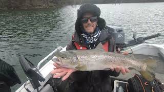 Eildon trout trip