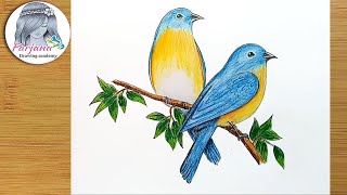 How to draw Eastern Bluebirds step by step