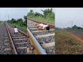 workout at railway track