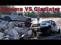 Epic Showdown: Maxx Powell’s Tacoma vs Gladiator on 40s – Which Off-Roader Reigns Supreme?