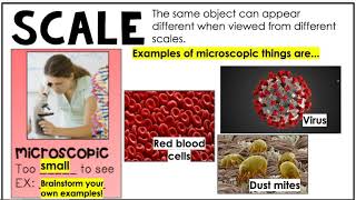 Cross Cutting Concept: Scale, Proportion, Quantity