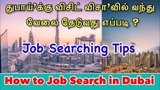 துபாயில் வேலை தேடுவது எப்படி ? | How to Job Search in Dubai | UAE Job Searching Tips in Tamil