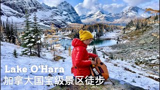 LAKE O'HARA | HIKING THE MOST BEAUTIFUL CANADIAN ROCKY MOUNTAIN TRAIL