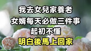 我去女兒家養老，女婿每天必做三件事，起初不懂，明白後馬上回家【心寄奇旅】#文學 #讀書 #深夜故事 #晚安故事 #情感 #養老