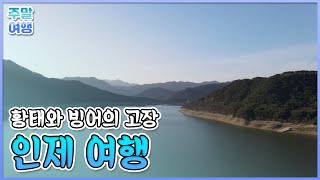 황태와 빙어의 고장🐟 강원 인제여행 [테마여행길]