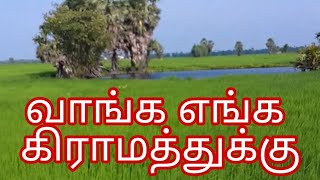 கிராமத்துக் கோவில்/Vanga Engal Gramatthuku kovil