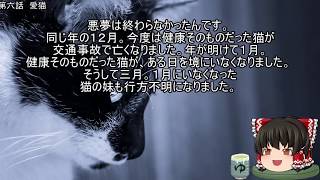 作業用・睡眠用　ゆっくり怪談　生き物に関する怖い話パ―ト1(リニューアル版)