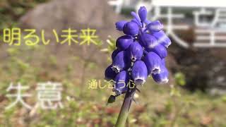 30秒の心象風景21828・花言葉～ムスカリ～