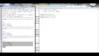 Python3: User Defined Functions - Parameters and Arguments