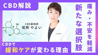 【患者さんの救世主!?】 CBDで緩和ケアが劇的に変わる驚きの効果とは