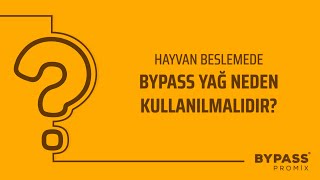 Hayvan Beslemede Bypass Yağın Önemi - BYPASS PROMİX