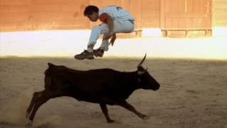 Bull Jumping - Inside the Human Body: Hostile World - BBC