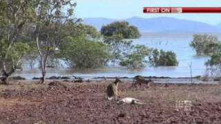 Kimberley floods