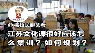 江苏文化课很好应该怎么集训？如何规划？