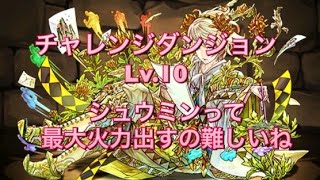 【パズドラ】チャレダン！Lv.10(北米版1000万DL記念イベント) シュウミンPT(ソロ)