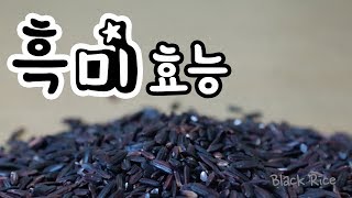 [Black rice] 흑미 효능 비만에 특효 l 모카 건강정보