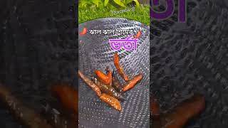 ঝাল ঝাল সিমের ভর্তা ♥️♥😋😋😋😋😋😋😋😋😋