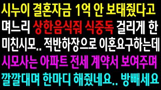 (실화사연)시누이 결혼자금 안 보태줬다고 상한음식주는 미친 시모.. 시모사는 아파트 전세계약서 보여주며 깔깔대며 한마디 해줬네요. 빵빼세요[신청사연][사이다썰][사연라디오]