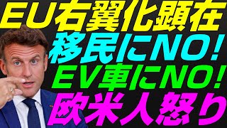 【米国株】税金無駄遣いに欧米人怒り！EUの右翼化！トランプ2.0へ協力『反移民』金融危機と政治リスク！景気後退リセッション暴落FRB政策NASDAQ100レバナスS\u0026P500投資ナスダック経済ニュース