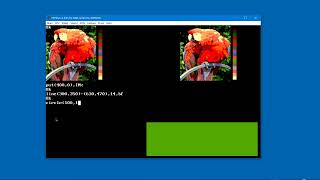 GWBASIC Parrot - Real Or Fake #2 Day 117