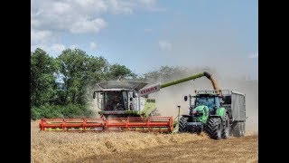 Žatva / Harvest / Żniwa - 5x Lexion (780tt,770tt,760tt) - 4x Fendt, Deutz Fahr 7250 TTV Warrior