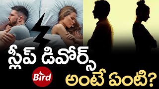 స్లీప్ డివోర్స్ అంటే ఏంటి? | What Is A Sleep Divorce ? | How To Prevent It | Bird Media |