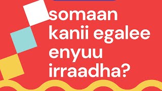 somaan kanii egalee enyuu irraa?