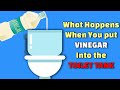 Watch What Happens When You put Vinegar Into the Toilet Tank | Health information #Healthpedia