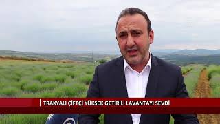 Trakyalı çiftçi yüksek getirili lavantayı sevdi