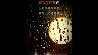 又是细雨 男伴奏