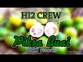 hi2 crew _ _ piksa buai . 2023 png music