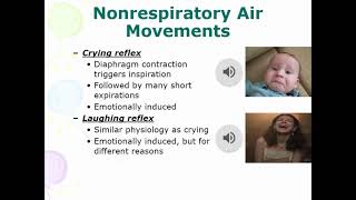 Nonrespiratory Air Movements