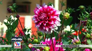 പൂപ്പൊലി കാണാന്‍ ഇതുവരെ പോയില്ലേ..? | POOPPOLI 2023 | INTERNATIONAL FLOWER SHOW WAYANAD |