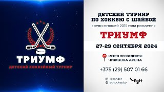 28.09.2024. Триумф. 2015. Пинские Ястребы - Пираньи