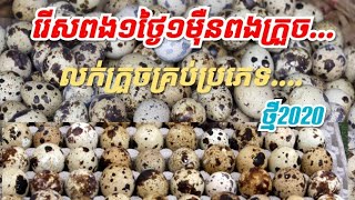 លក់ក្រួចគ្រប់ប្រភេទ...