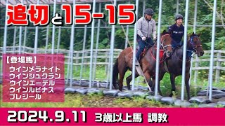 【3歳以上馬　調教】2024.9.11【坂路】入厩を控えた競走馬の追い切り