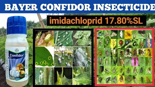 Bayer Confidor Insecticide | confidor | imodachloprid 17.80%