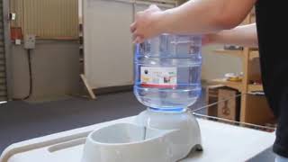 รีวิว ชามให้อาหารและน้ำสัตว์เลี้ยงอัตโนมัติ automatic pet feeder and drinking water