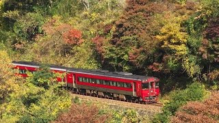 久大本線の紅葉