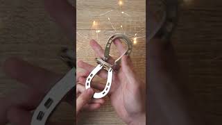 Hanayama Horse Puzzle (try to guess the solution)