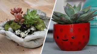 5 Ways To Spruce Up Your Home With Plants