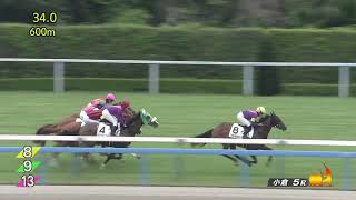 2024 06 29 小倉5R 2歳新馬 エイヨーアメジスト(田口貫太)