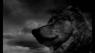 Fenrir by Adveniat Hiems - Black Metal Video