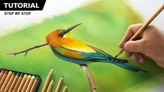 Drawing Colorful Bird using Pastel Color Pencil